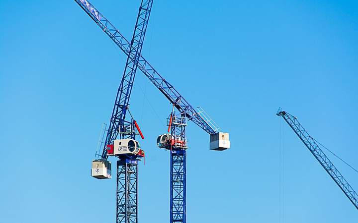 Grues à tour bleues se découpant sur un ciel dégagé