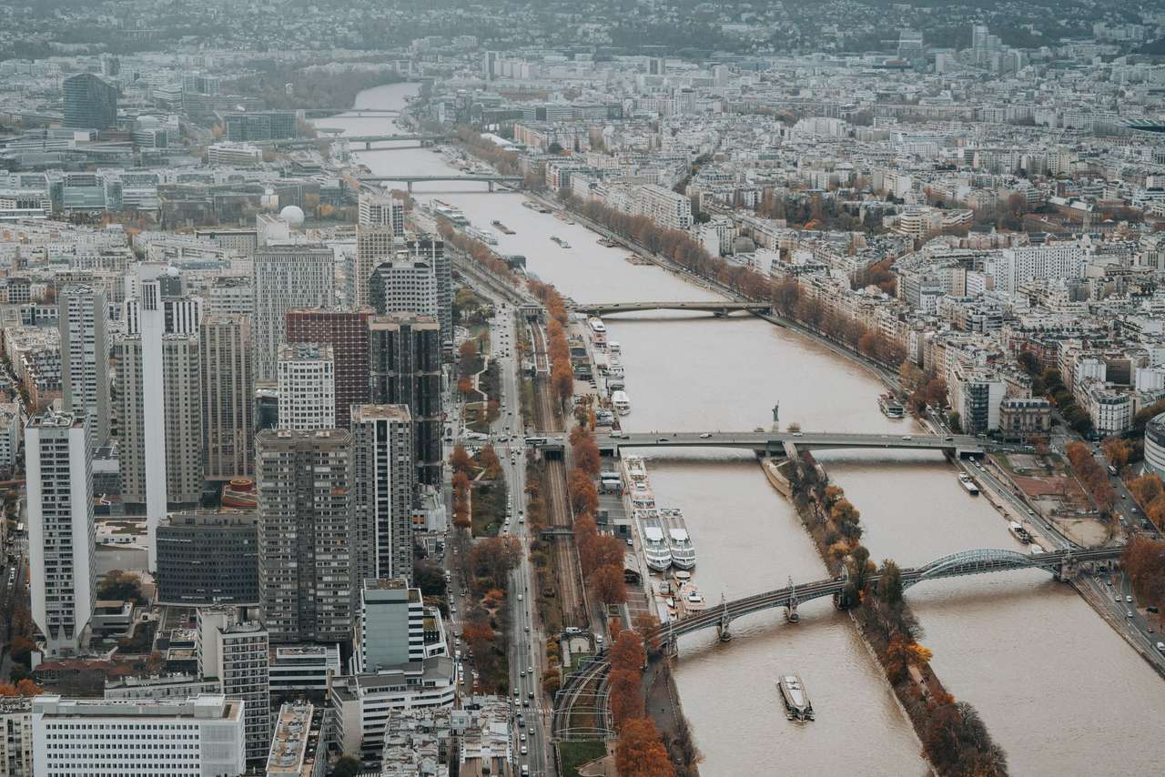 La Seine, l’île aux Cygnes et les tours du Front de Seine à Paris, vues en surplomb