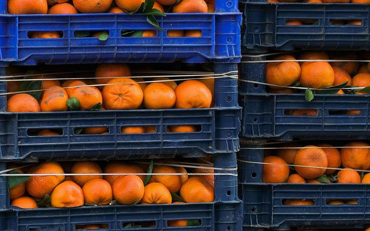 Cagettes de clémentines empilées, prêtes pour la distribution