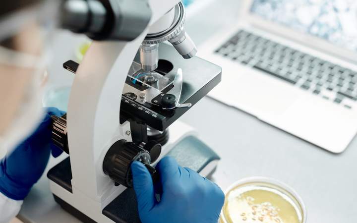 Mains gantées réglant un microscope près d’une boîte de Petri et d’un ordinateur portable