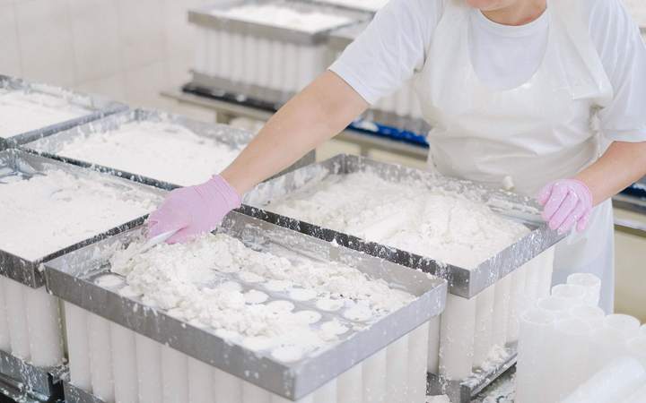 Opératrice gantée répartissant du caillé dans des moules en inox en atelier fromager