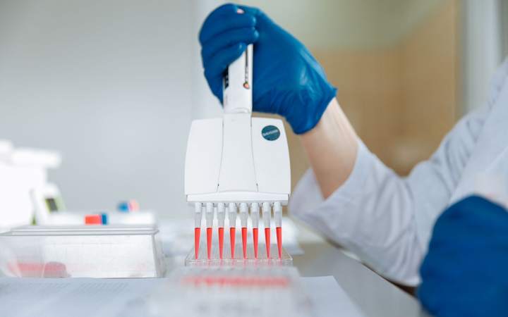 Main gantée utilisant une pipette multicanaux pour remplir une plaque d’échantillons au laboratoire